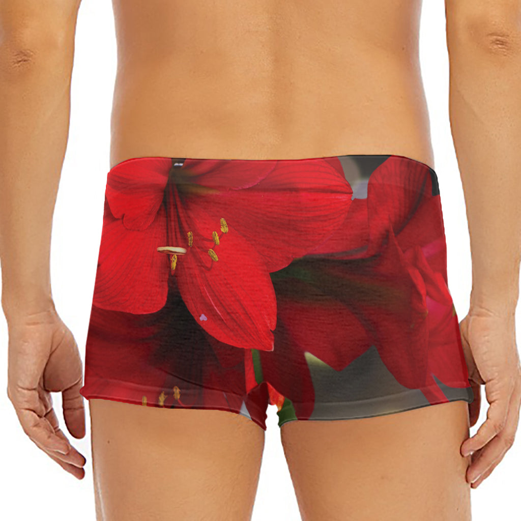 Red Amaryllis Print Men's Short Boxer Briefs