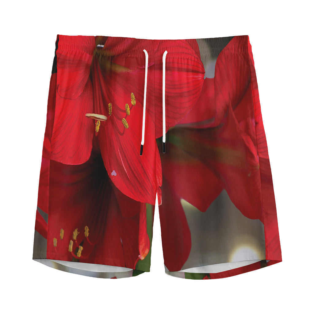 Red Amaryllis Print Men's Sports Shorts