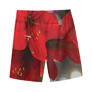 Red Amaryllis Print Men's Sports Shorts