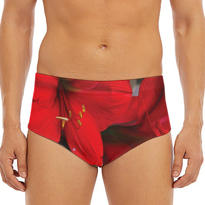 Red Amaryllis Print Men's Triangle Swim Briefs