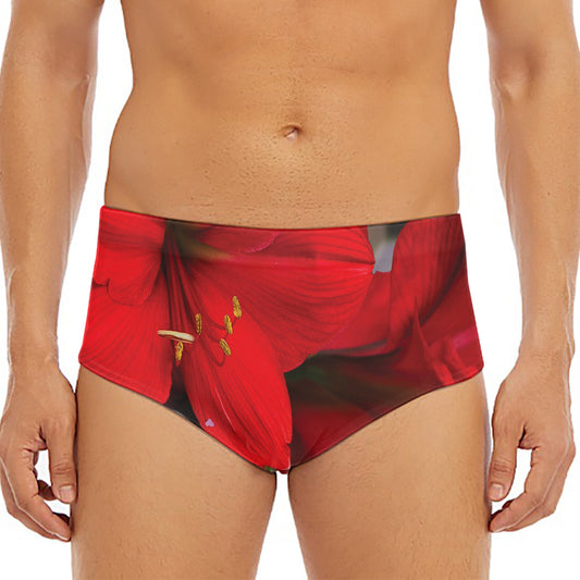 Red Amaryllis Print Men's Triangle Swim Briefs