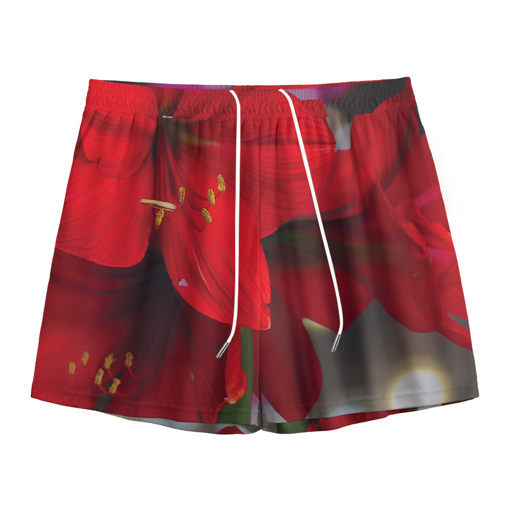 Red Amaryllis Print Mesh Shorts