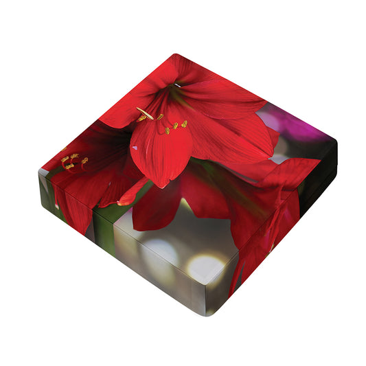 Red Amaryllis Print Outdoor Seat Cushion Cover