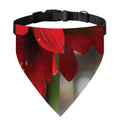 Red Amaryllis Print Over The Collar Dog Bandana