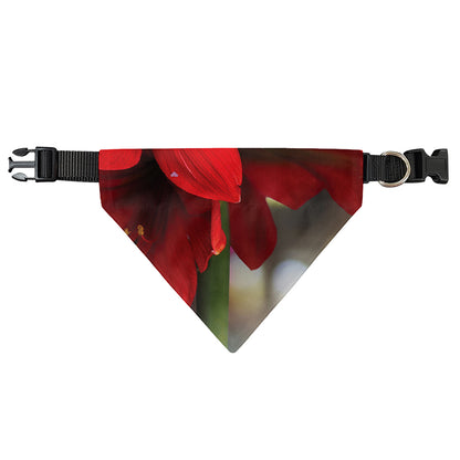 Red Amaryllis Print Over The Collar Dog Bandana