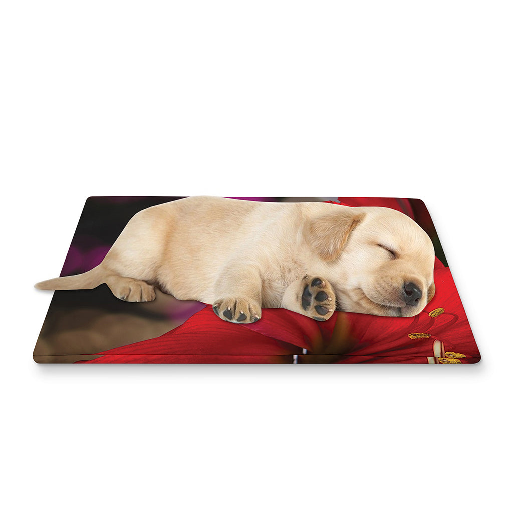 Red Amaryllis Print Pet Cooling Mat Cover