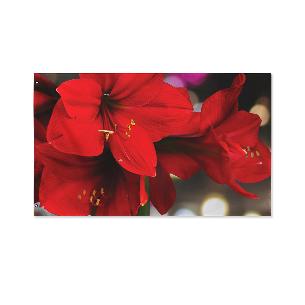 Red Amaryllis Print Polyester Flag