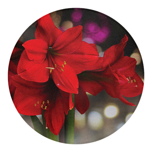 Red Amaryllis Print Round Blanket