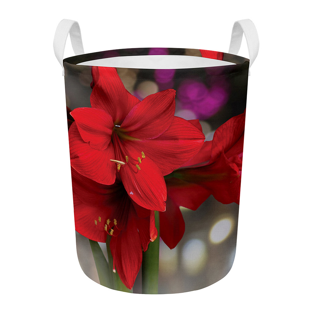Red Amaryllis Print Round Laundry Basket