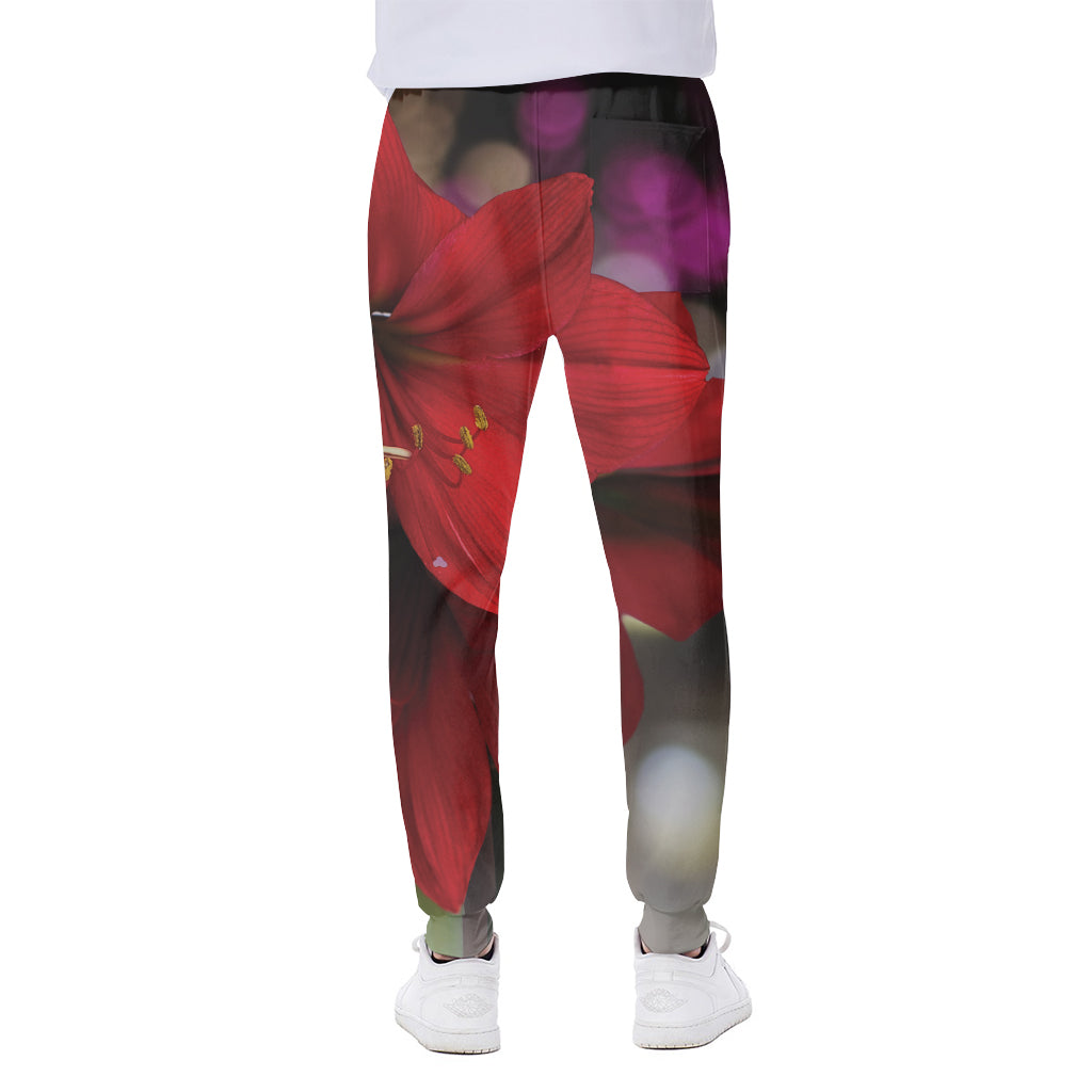 Red Amaryllis Print Scuba Joggers