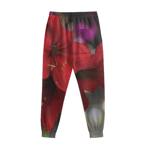 Red Amaryllis Print Sweatpants