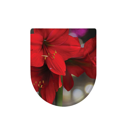 Red Amaryllis Print Toilet Lid Cover