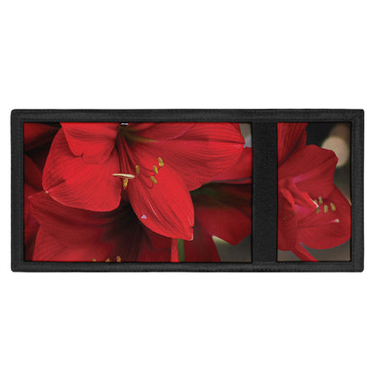Red Amaryllis Print Trifold Wallet