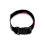 Red And Black Carnation Pattern Print Dog Collar