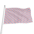 Red And Blue American Star Pattern Print Flag
