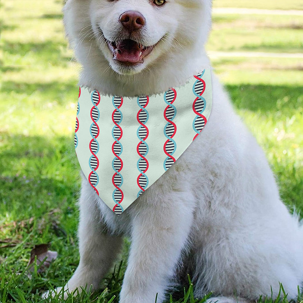 Red And Blue DNA Pattern Print Over The Collar Dog Bandana