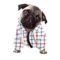 Red And Blue Tattersall Pattern Print Dog Zip Up Hoodie