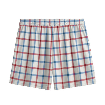 Red And Blue Tattersall Pattern Print Mesh Shorts