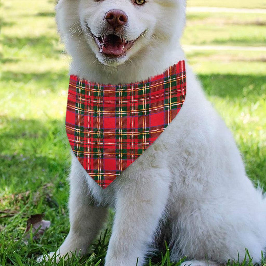Red And Green Scottish Tartan Print Over The Collar Dog Bandana