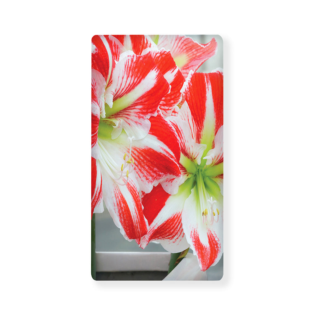 Red And White Amaryllis Print Baby Crib Sheet