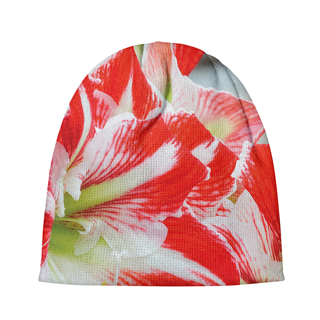 Red And White Amaryllis Print Beanie