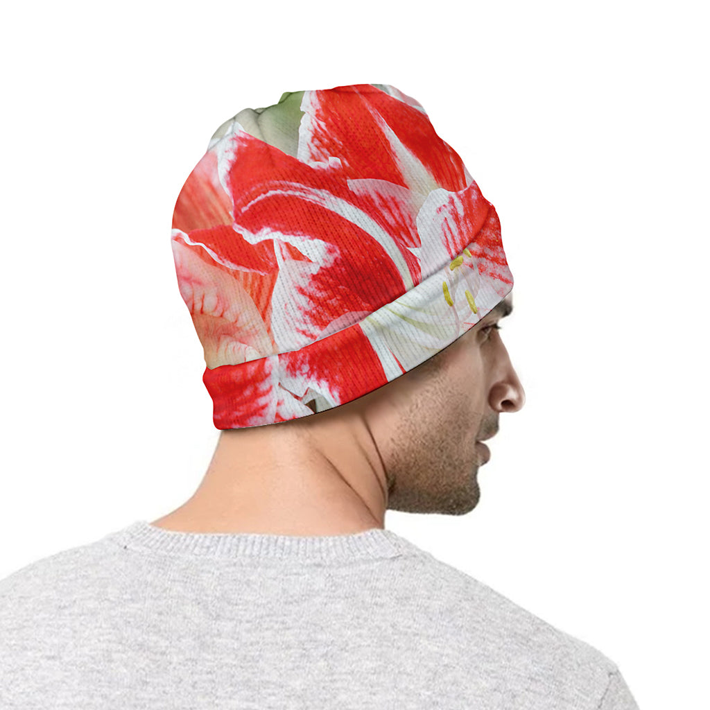 Red And White Amaryllis Print Beanie