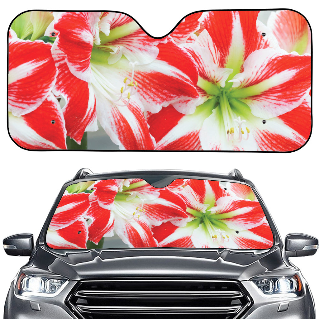 Red And White Amaryllis Print Car Windshield Sun Shade