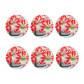 Red And White Amaryllis Print Coaster Set