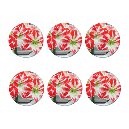 Red And White Amaryllis Print Coaster Set