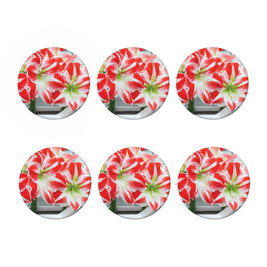 Red And White Amaryllis Print Coaster Set