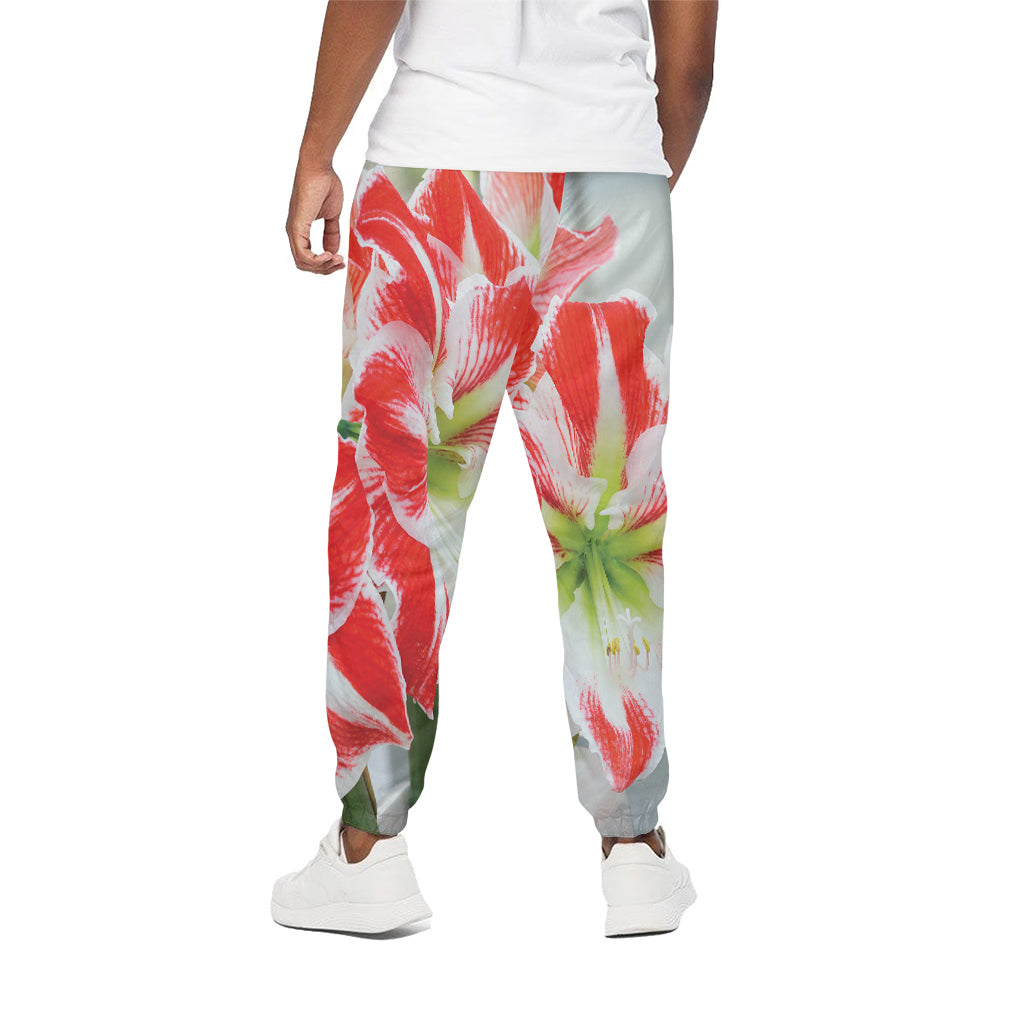 Red And White Amaryllis Print Cotton Pants