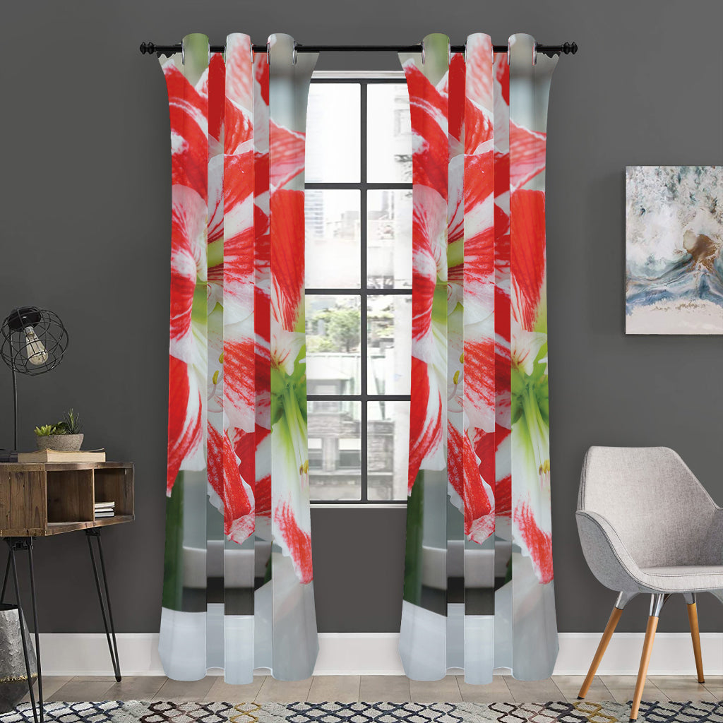 Red And White Amaryllis Print Curtain