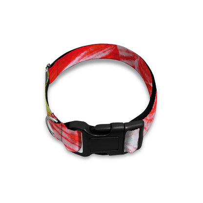 Red And White Amaryllis Print Dog Collar