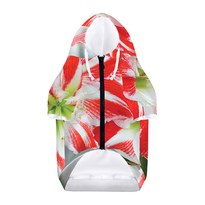 Red And White Amaryllis Print Dog Zip Up Hoodie
