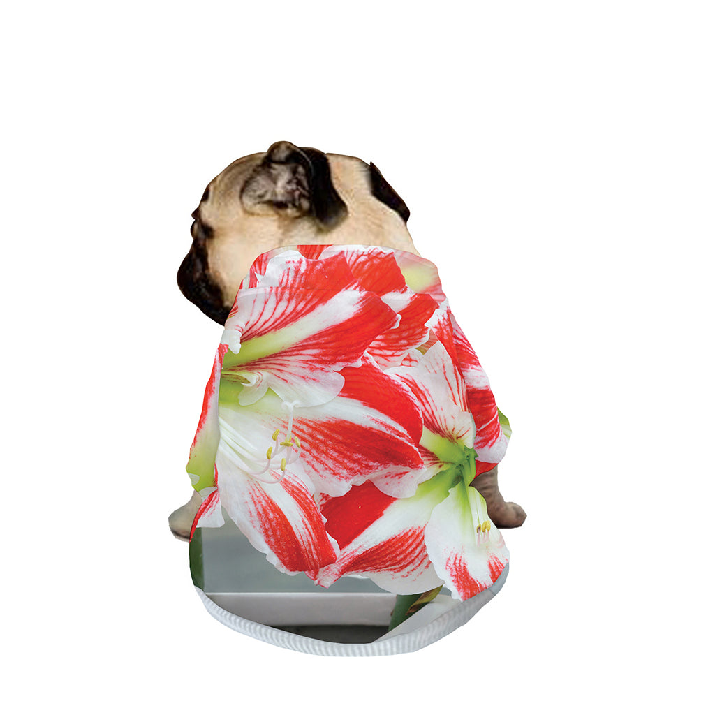 Red And White Amaryllis Print Dog Zip Up Jacket