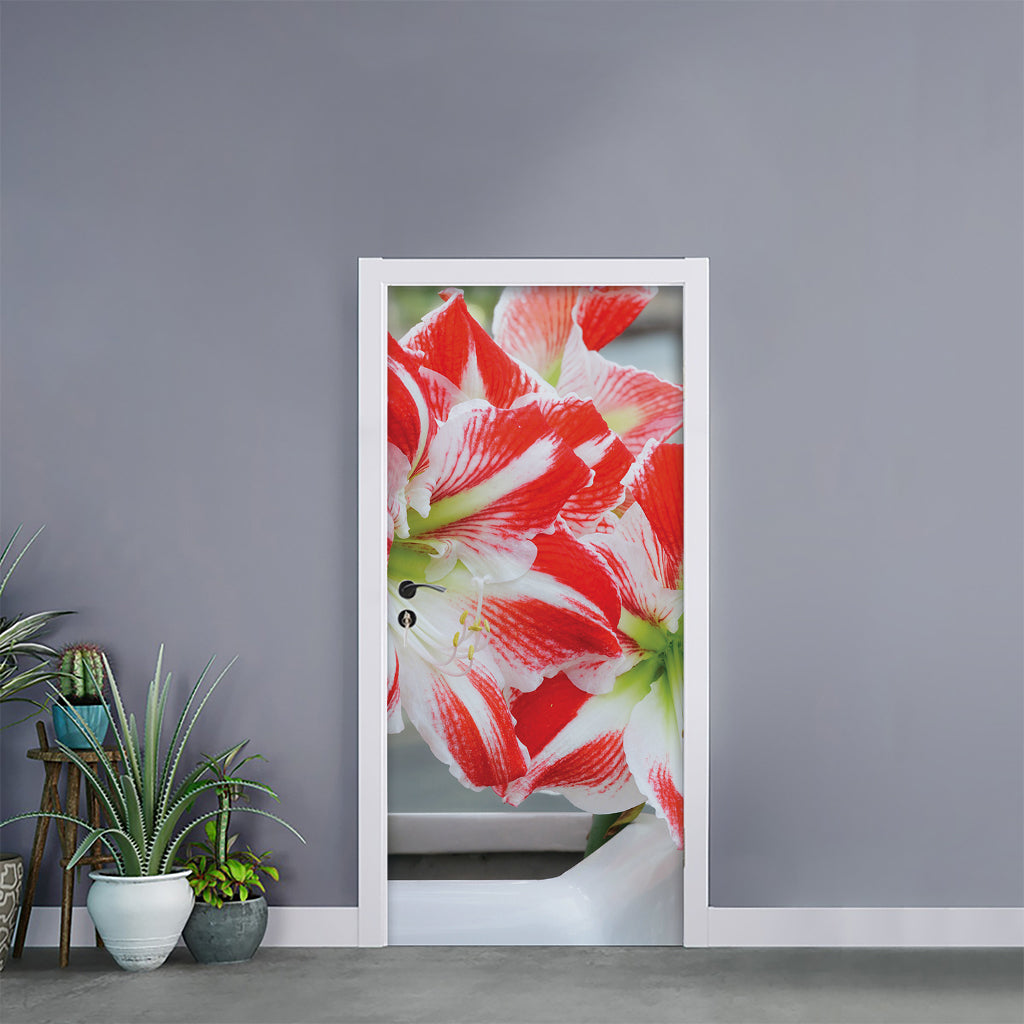 Red And White Amaryllis Print Door Sticker