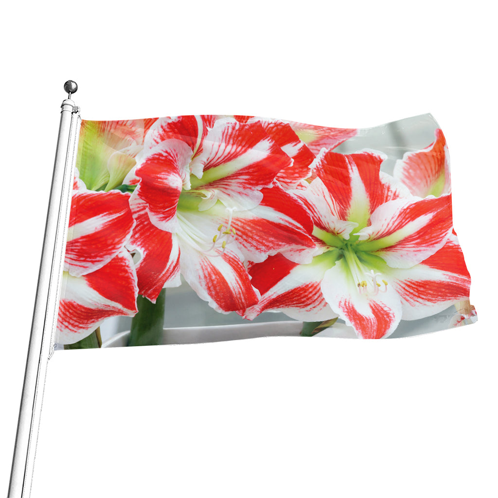 Red And White Amaryllis Print Flag