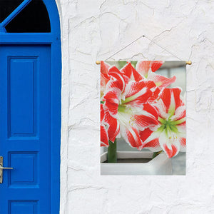 Red And White Amaryllis Print Garden Flag