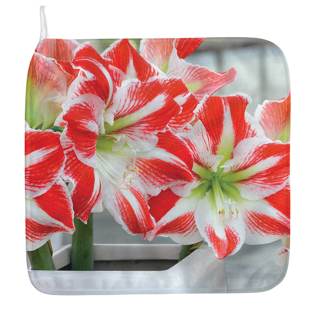 Red And White Amaryllis Print Hand Towel