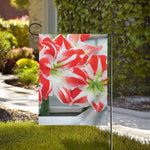 Red And White Amaryllis Print House Flag