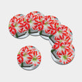 Red And White Amaryllis Print Leather Coaster Set