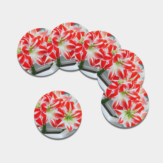 Red And White Amaryllis Print Leather Coaster Set