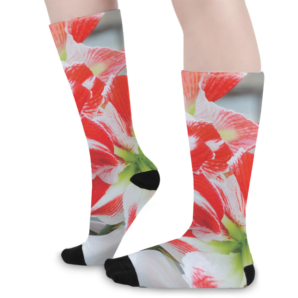 Red And White Amaryllis Print Long Socks