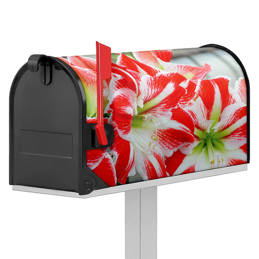 Red And White Amaryllis Print Mailbox Cover