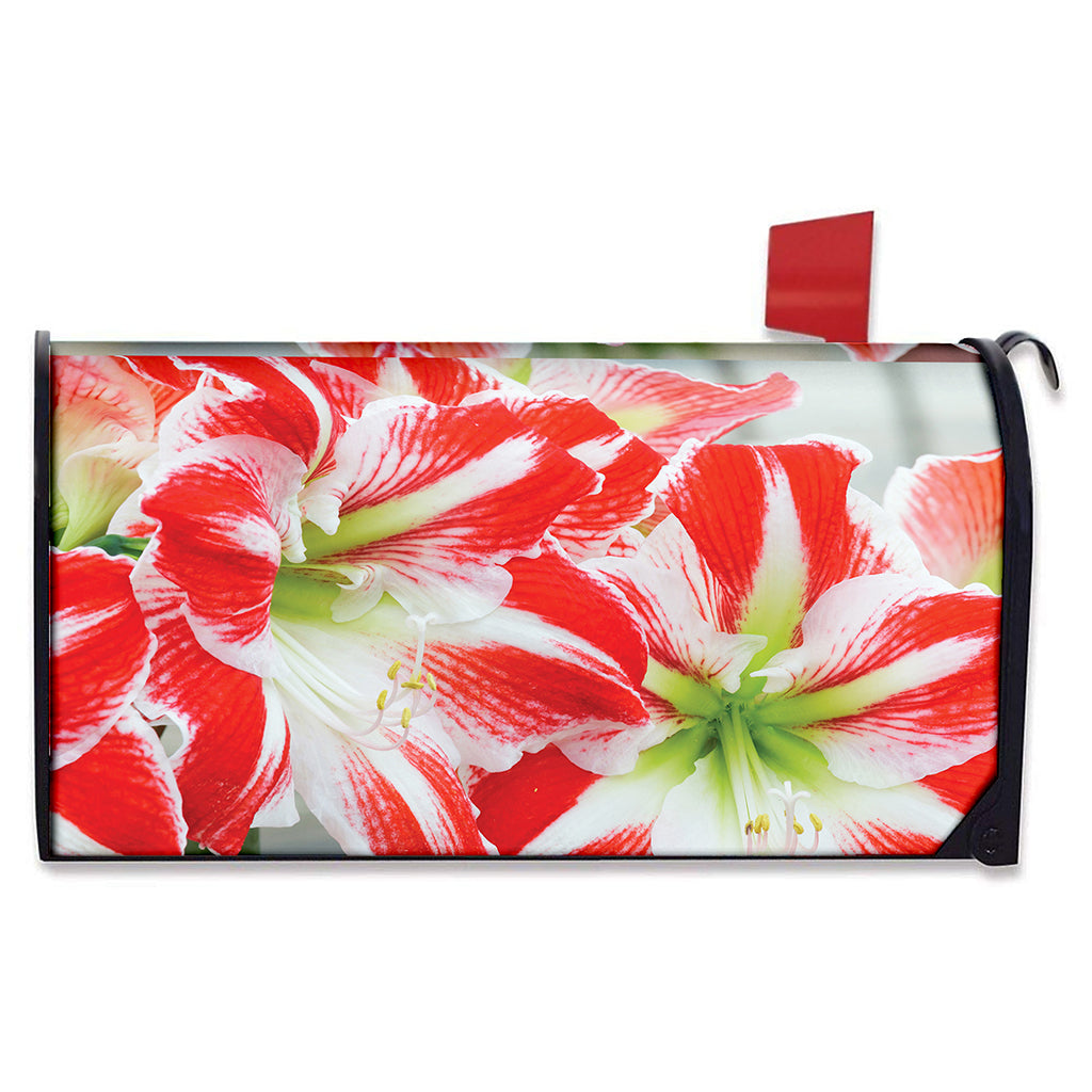 Red And White Amaryllis Print Mailbox Cover