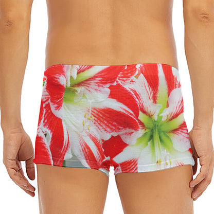 Red And White Amaryllis Print Men's Short Boxer Briefs