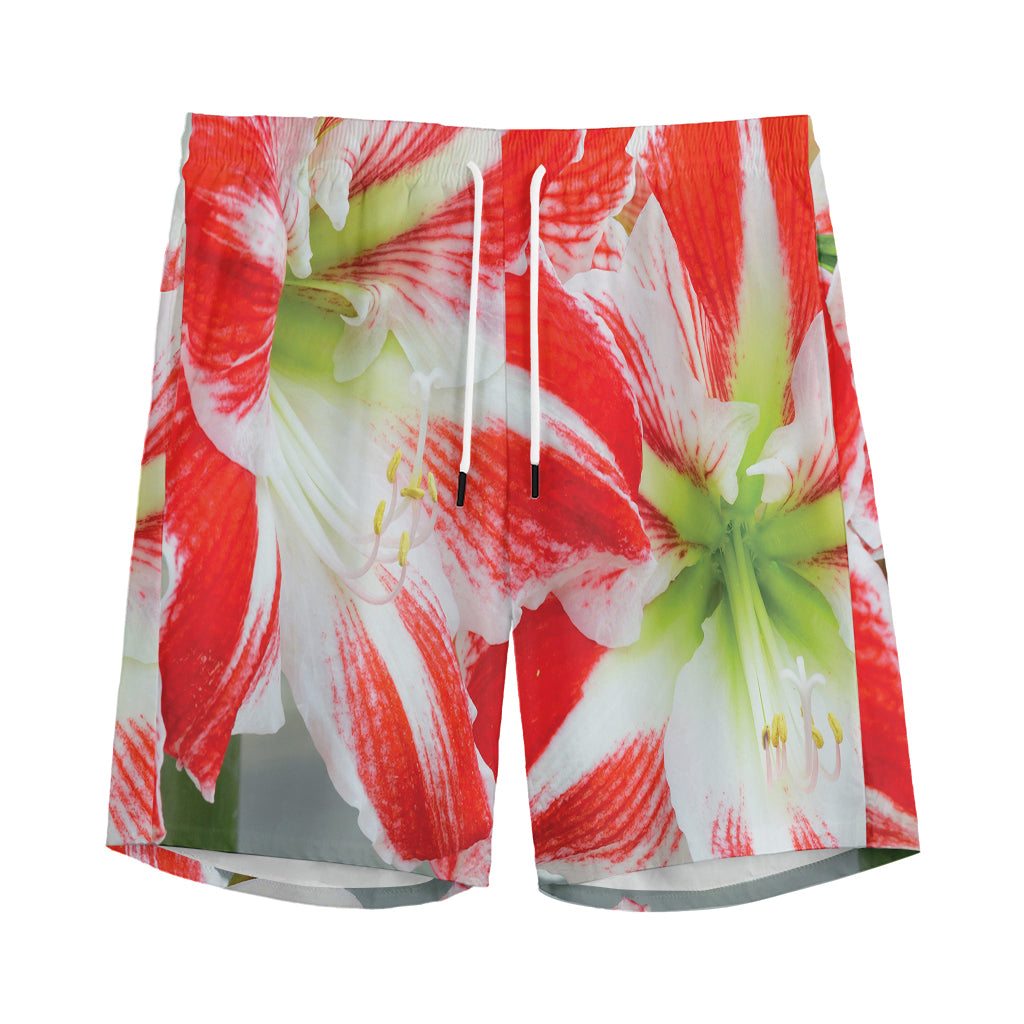 Red And White Amaryllis Print Men's Sports Shorts