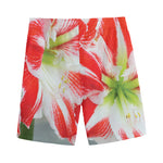 Red And White Amaryllis Print Men's Sports Shorts