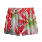 Red And White Amaryllis Print Mesh Shorts