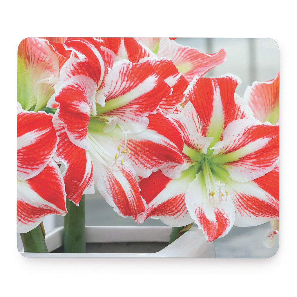 Red And White Amaryllis Print Mouse Pad